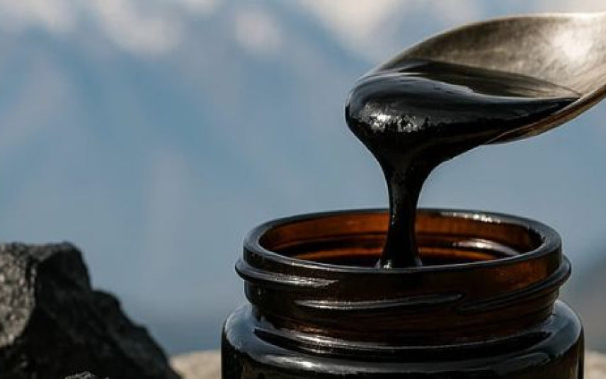 Pure Himalayan Shilajit Resin